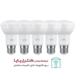 لامپ LED رفلکتور 6 وات مهتابی 5 تایی پارسه شید